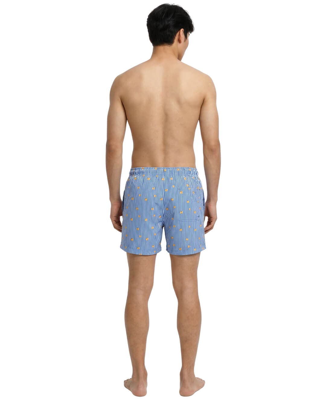 Jack & Jones Swimwear Jack & Jones Jpstmaui Breeze Mini Stripe Swim Srt Sn Delft