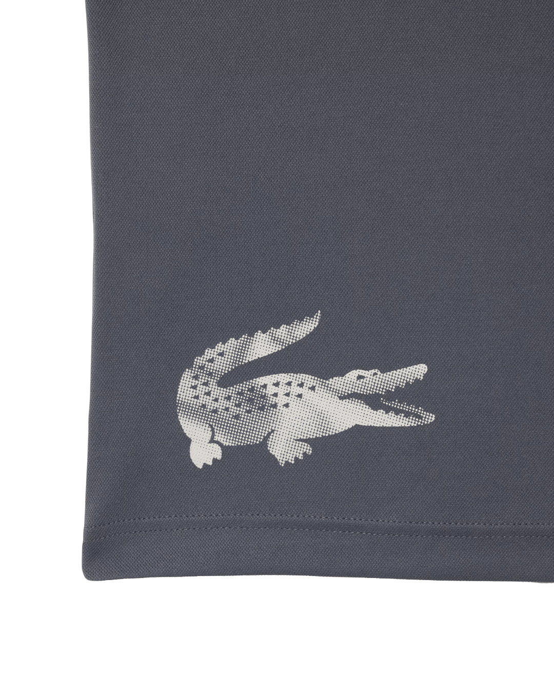 Lacoste Purple, Sky Blue and Black Polo Shirt