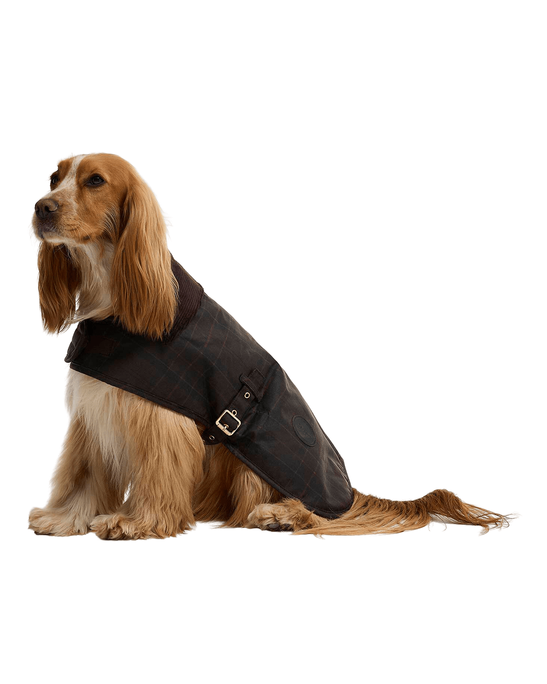 Barbour Coats Barbour Cream Tartan Wax Dog Coat