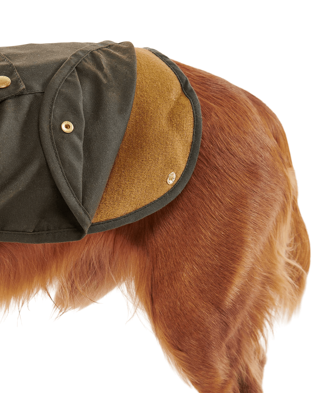 Barbour Coats XL Barbour Olive 2-in-1 Wax Dog Coat