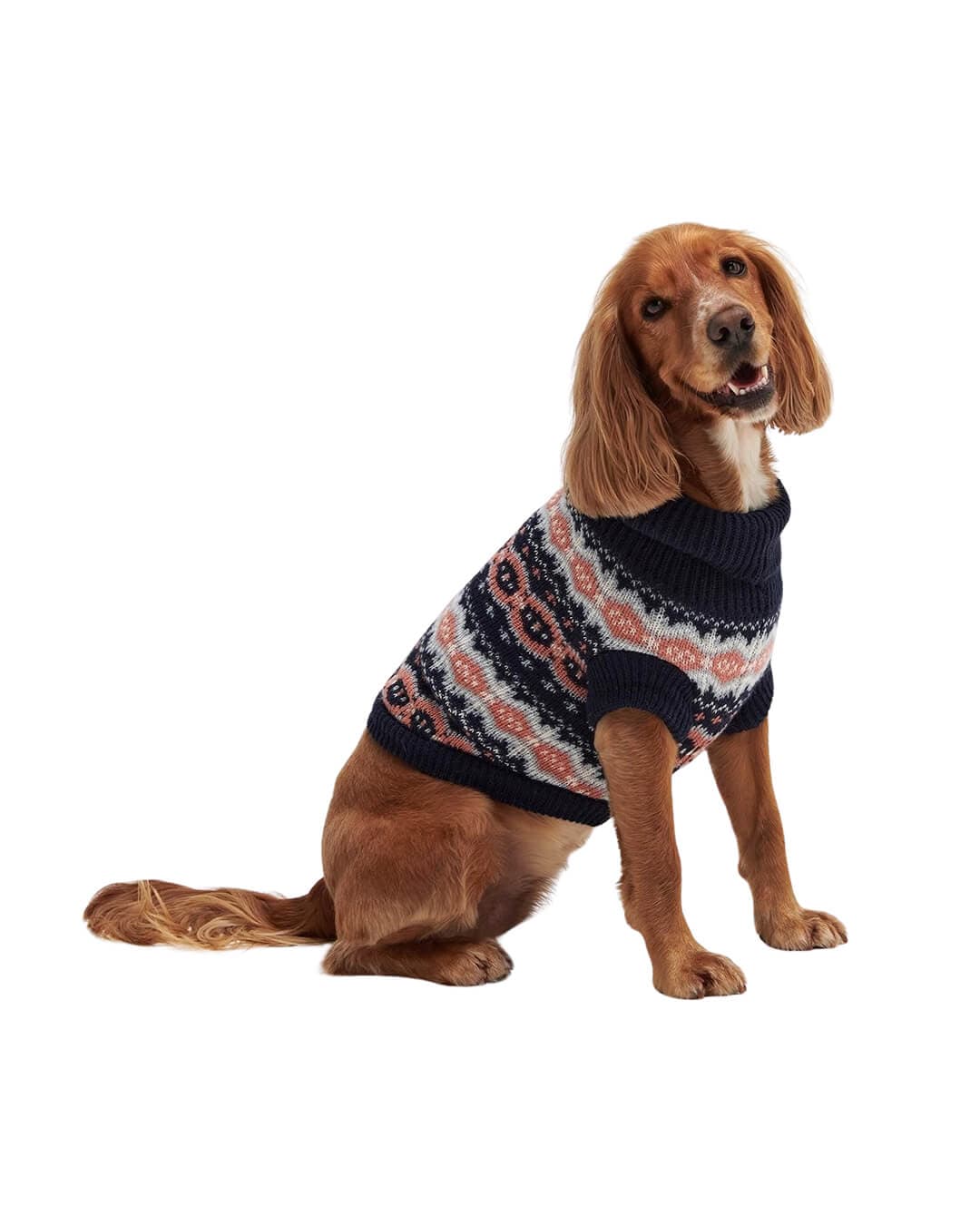 Barbour Dog Accessories Barbour Pink Case Fair Isle Dog Gift Set