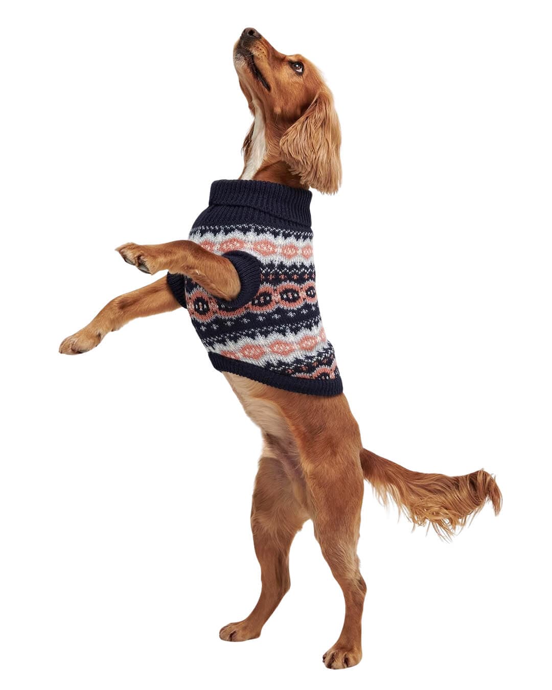 Barbour Dog Accessories Barbour Pink Case Fair Isle Dog Gift Set