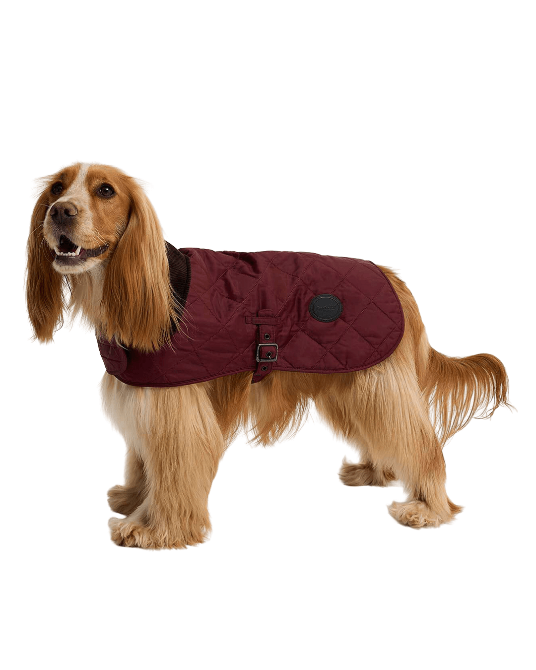 Barbour Other Accessories Barbour Brown Quilted Dog Coat