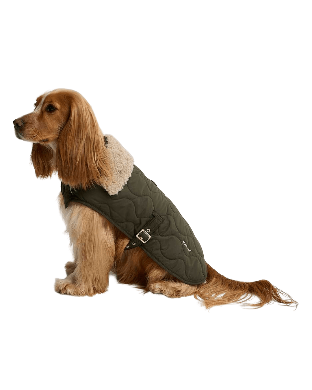 Barbour Other Accessories Barbour Olive Beith Quilted Dog Coat