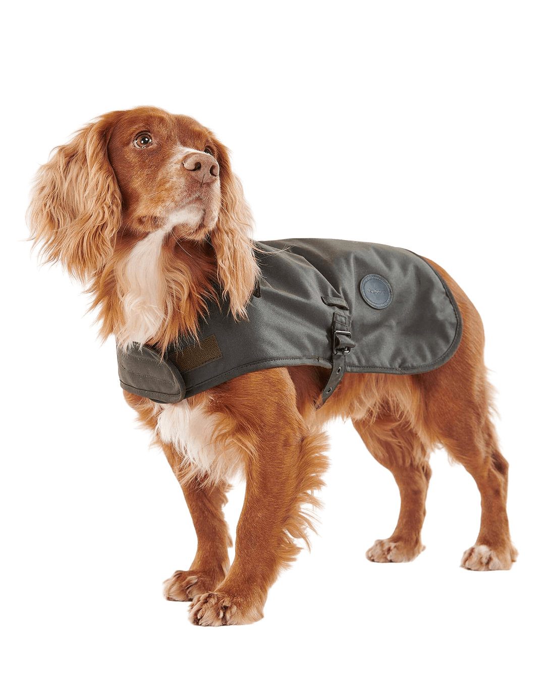 Barbour Other Accessories Barbour Olive Wax Dog Coat