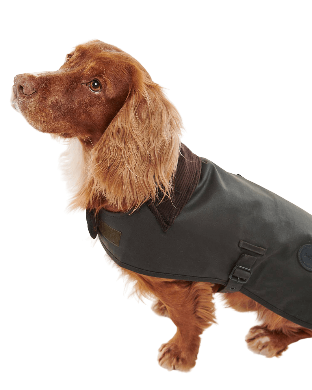 Barbour Other Accessories Barbour Olive Wax Dog Coat