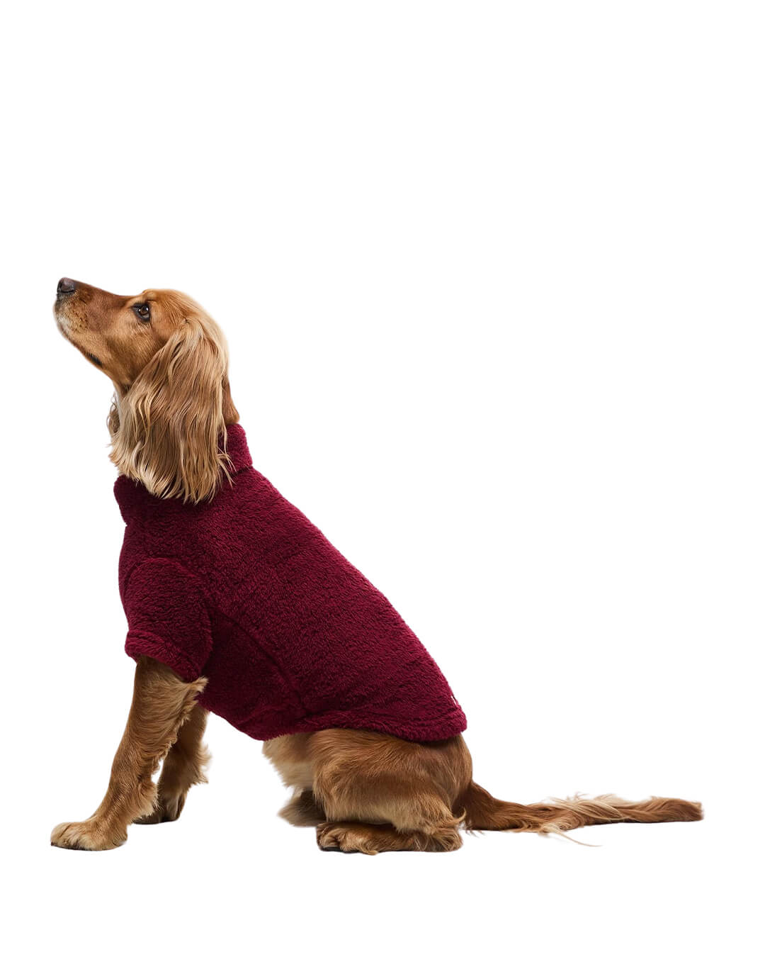 Barbour Others Barbour BRINDLE FLEECE DOG JUMPER RE35 RED