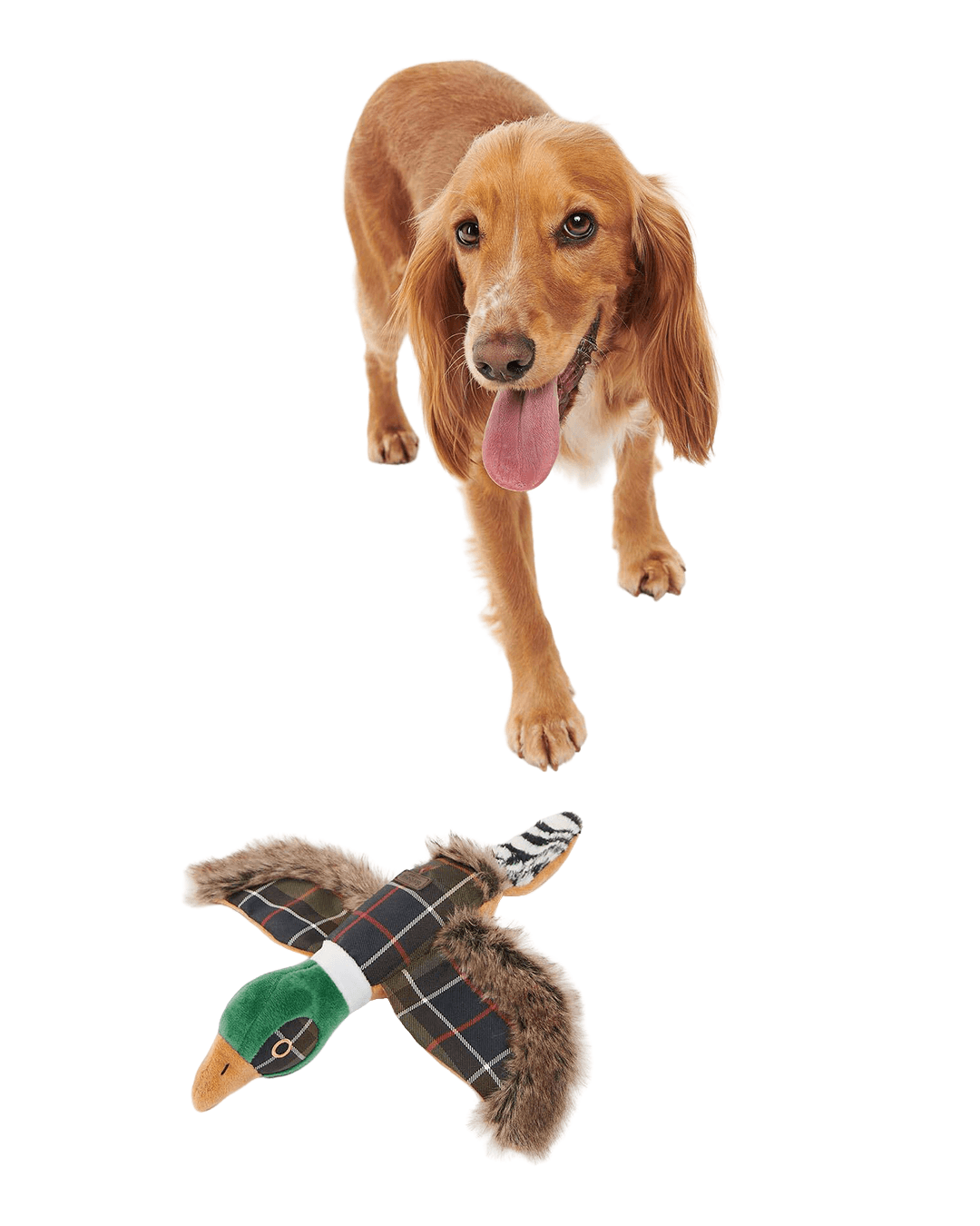 Barbour Others ONE Barbour Green Tartan Pheasant Dog Toy