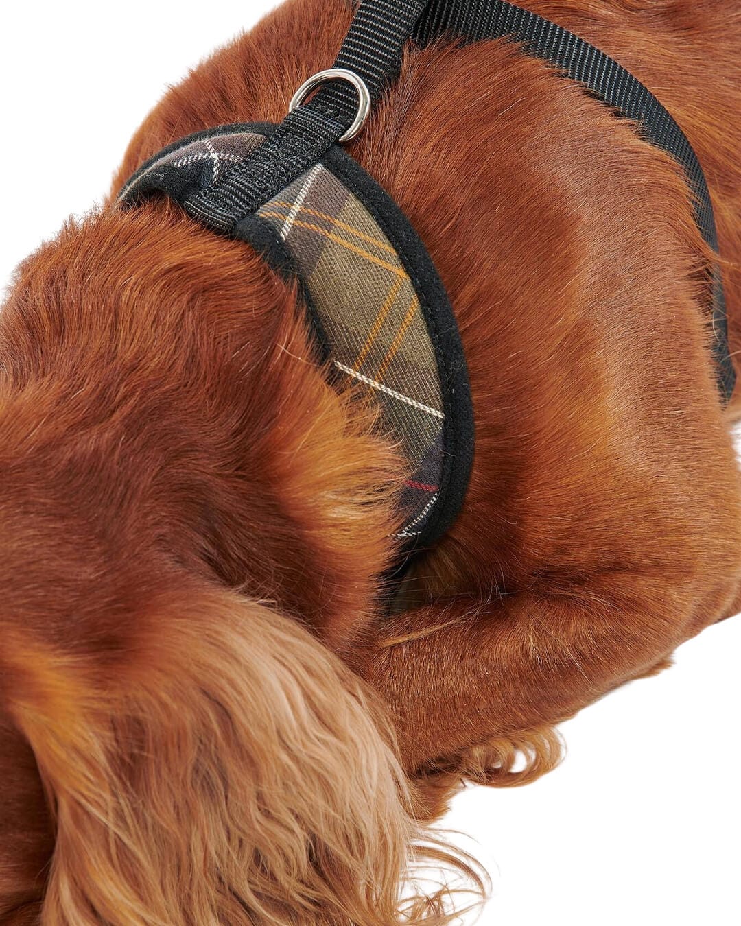 Barbour Others Barbour Mix Tartan Dog Harness Tn11 Classic Tartan