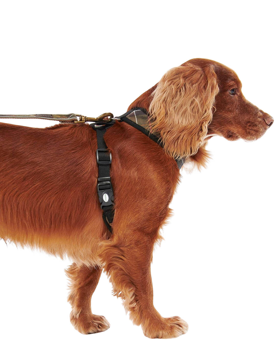Barbour Others Barbour Mix Tartan Dog Harness Tn11 Classic Tartan