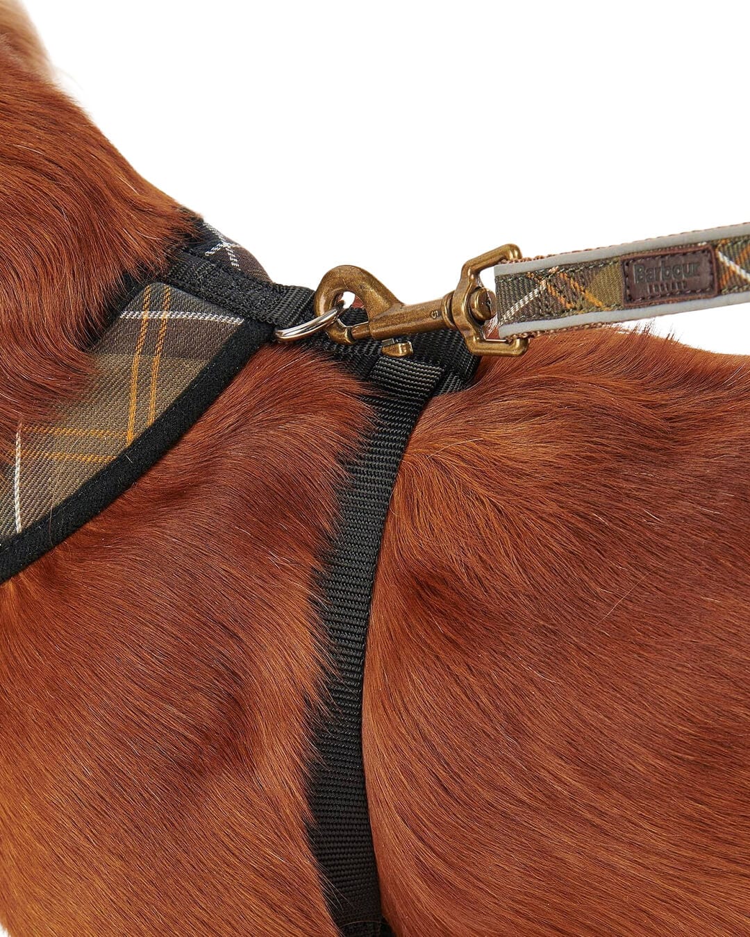 Barbour Others Barbour Mix Tartan Dog Harness Tn11 Classic Tartan