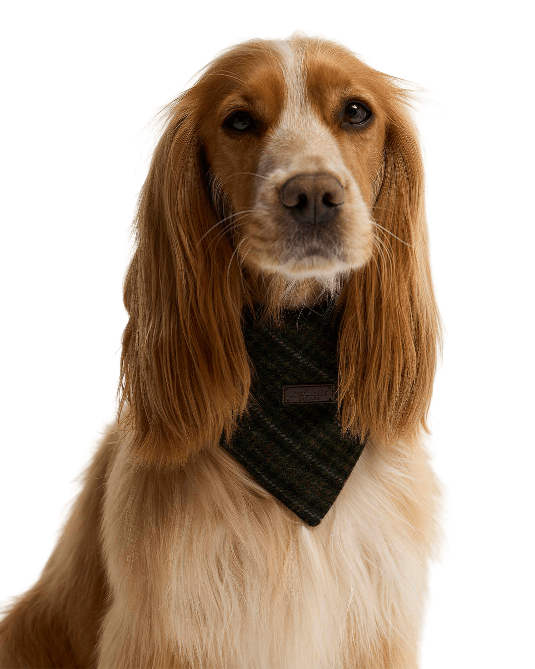 Barbour Others Barbour Olive Check Wilkin Dog Bandana