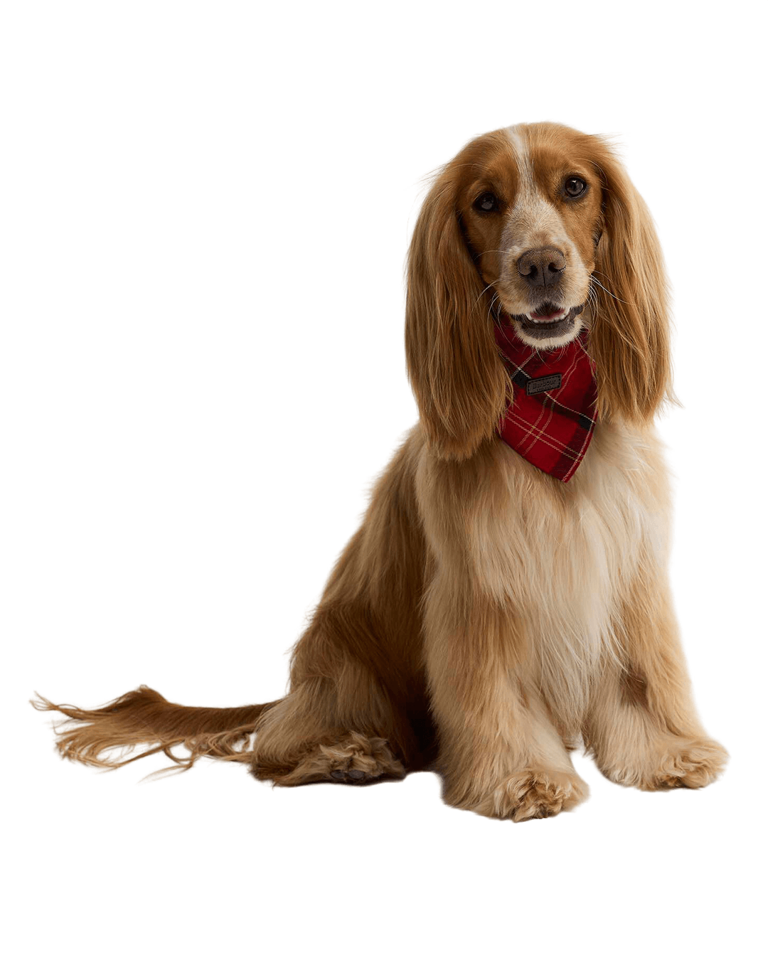 Barbour Others Barbour Red Tartan Dog Bandana