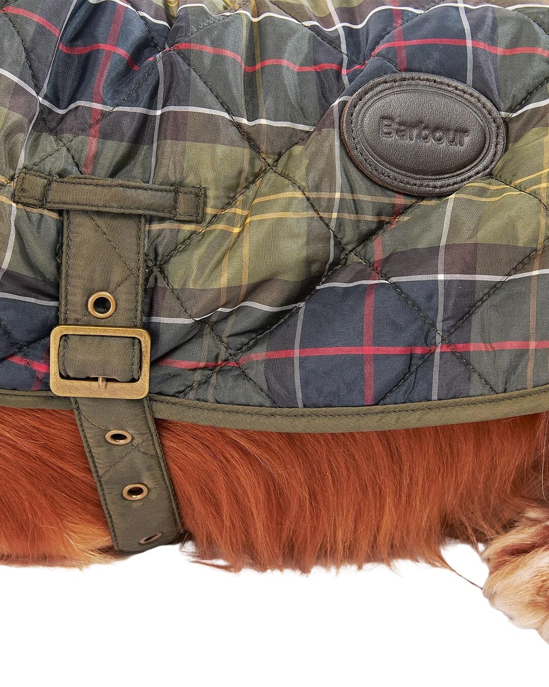 Barbour Others Barbour TARTAN DOG COAT TN11 CLASSIC