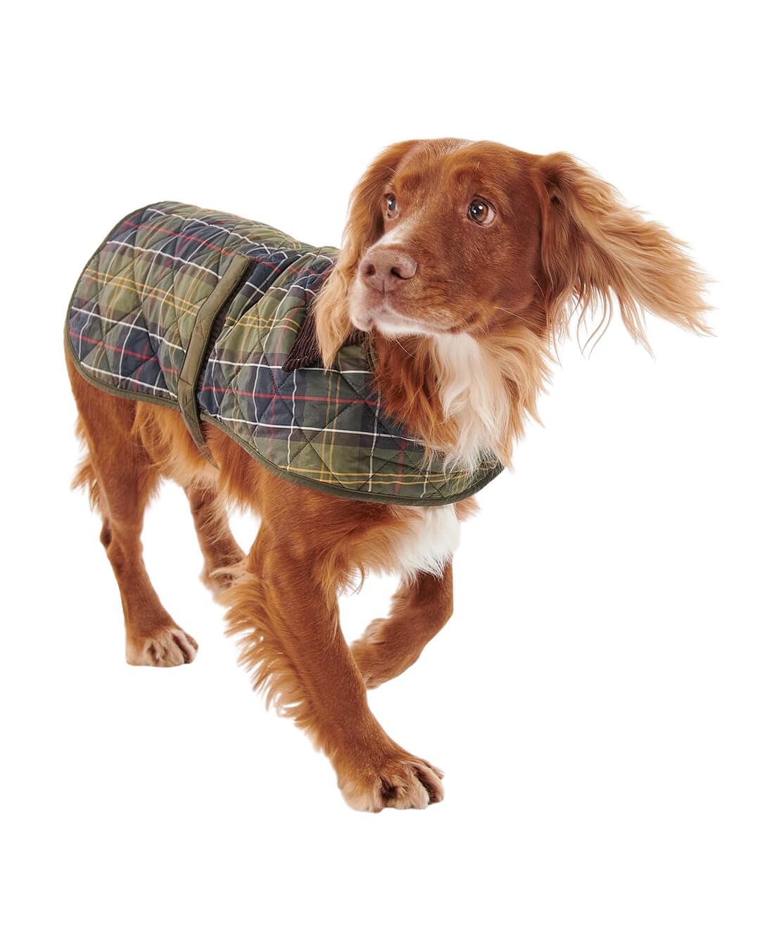 Barbour Others Barbour TARTAN DOG COAT TN11 CLASSIC