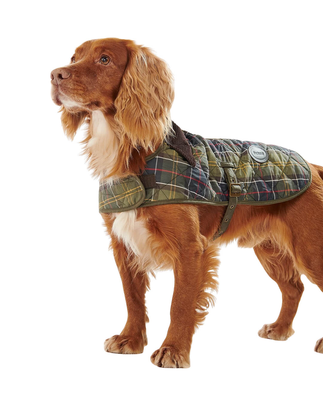 Barbour Others Barbour TARTAN DOG COAT TN11 CLASSIC