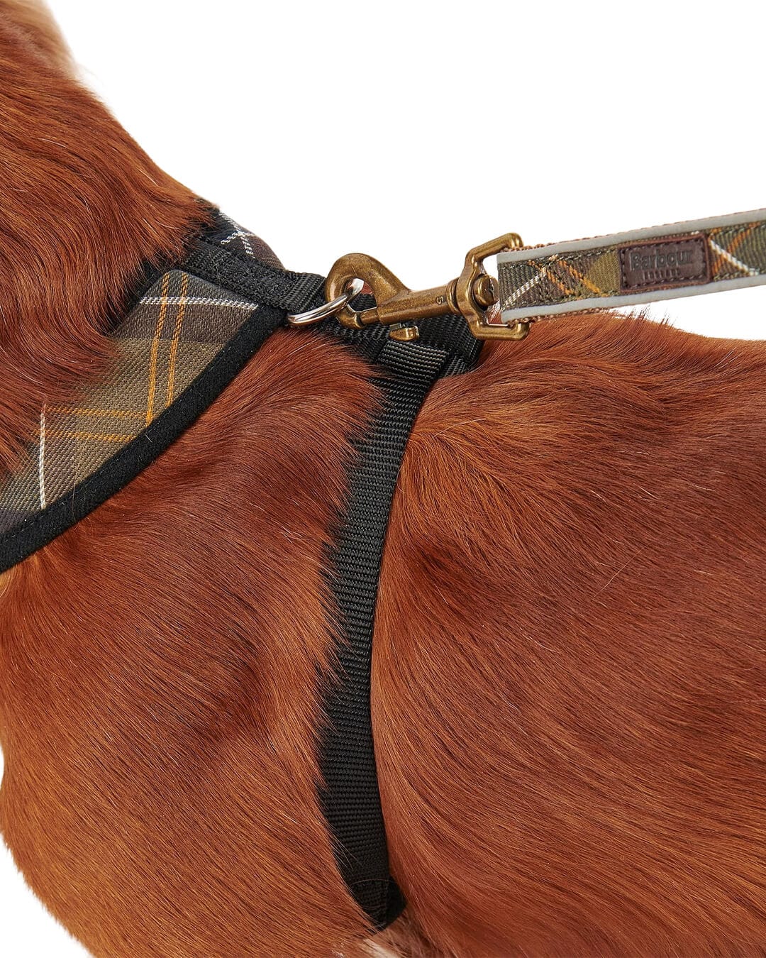 Barbour Others Barbour TARTAN DOG HARNESS TN11 CLASSIC TARTAN