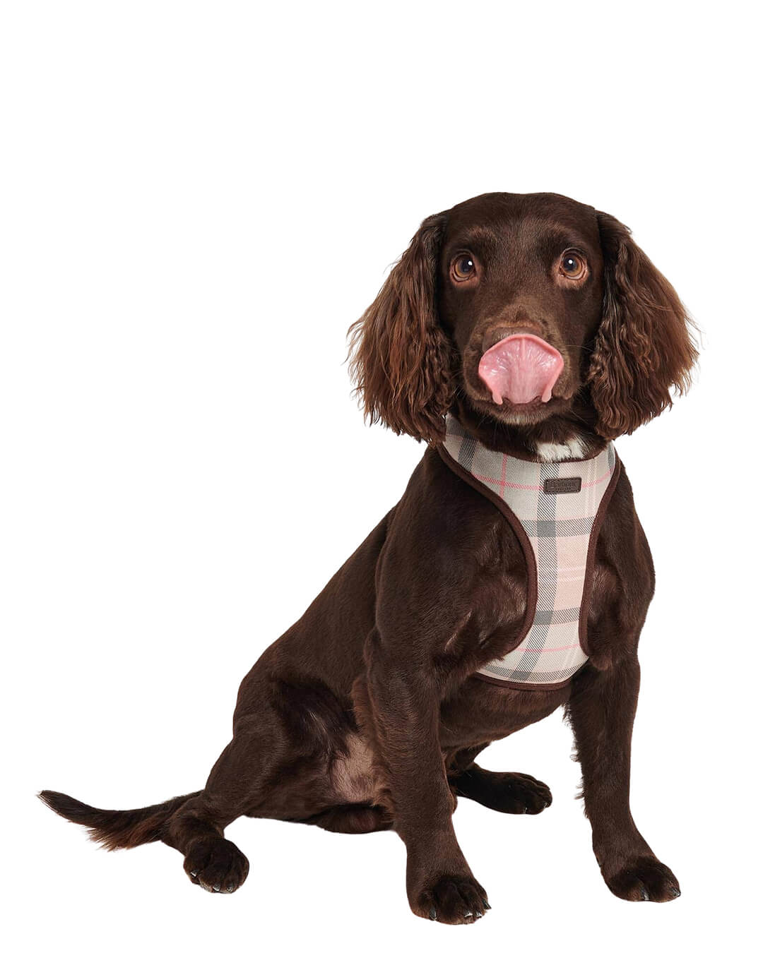 Barbour Others Barbour Taupe Tartan Dog Harness Be91 Pink Tartan