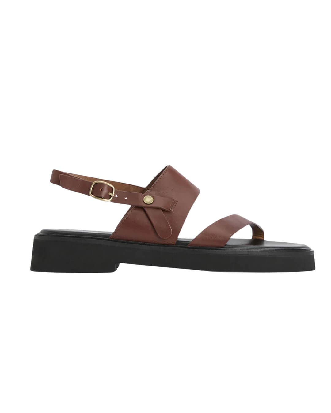 Barbour Shoes Barbour Brown Dakota Sandal