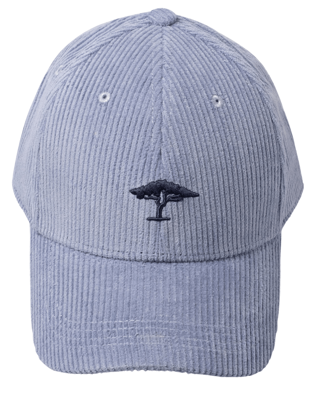 Fynch-Hatton Caps ONE Fynch-Hatton Blue Fynch-Hatton Corduroy Cap Air Blue F660