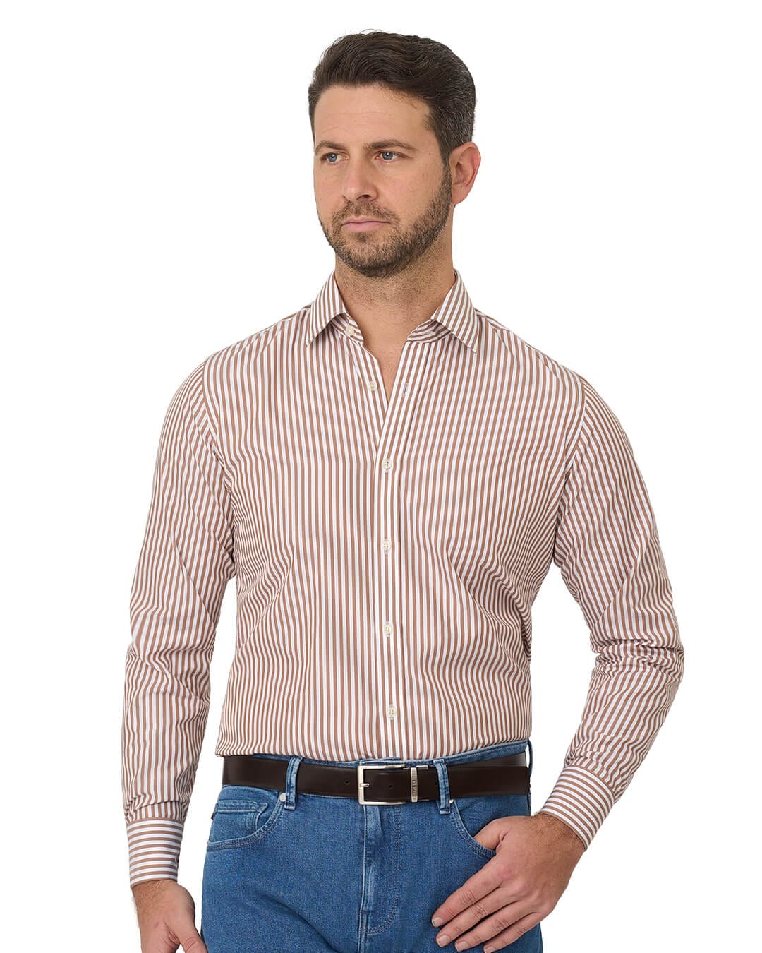 Gagliardi Shirts Gagliardi Camel Shirt Non Iron Butcher Stripe