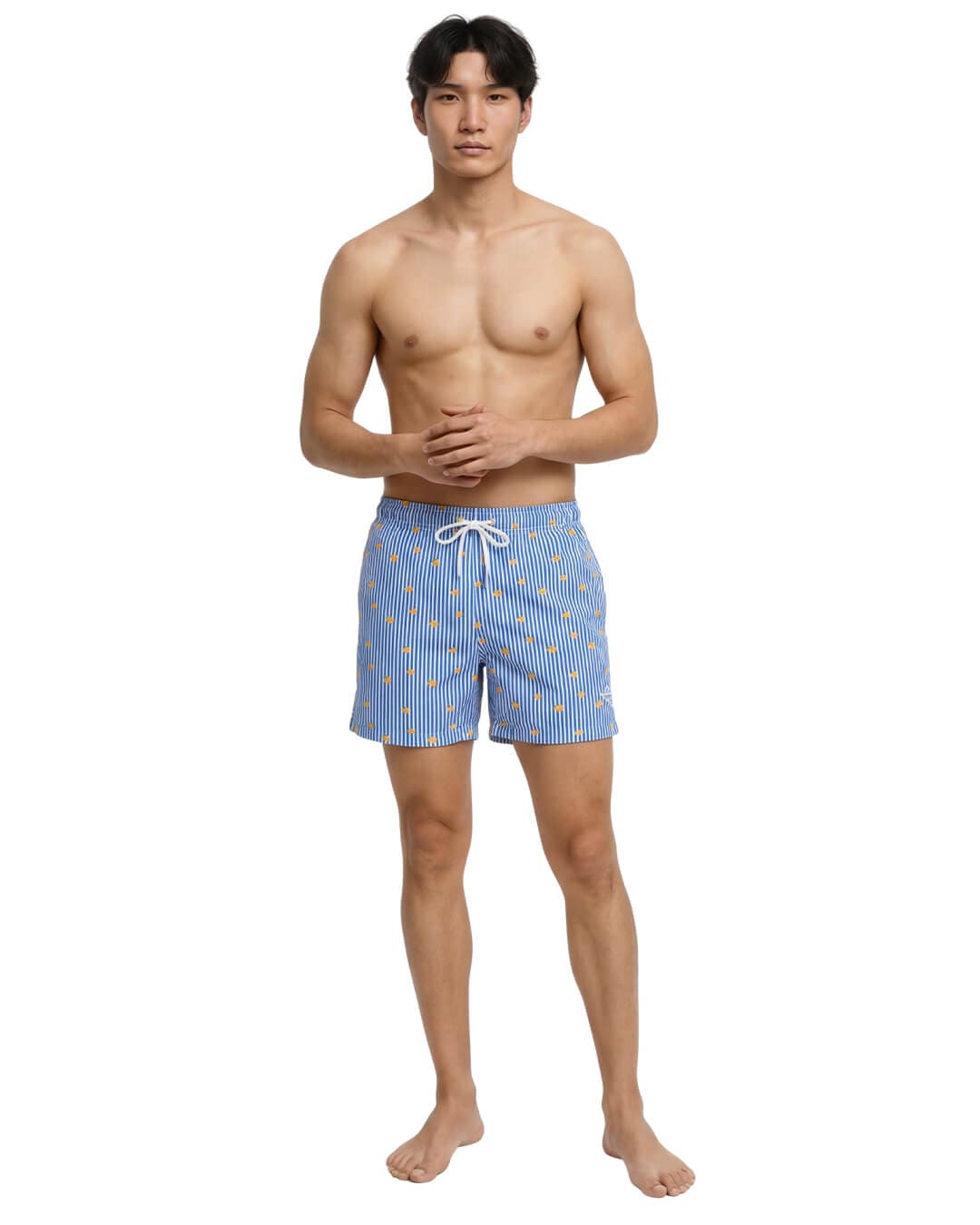 Jack & Jones Swimwear Jack & Jones Jpstmaui Breeze Mini Stripe Swim Srt Sn Delft