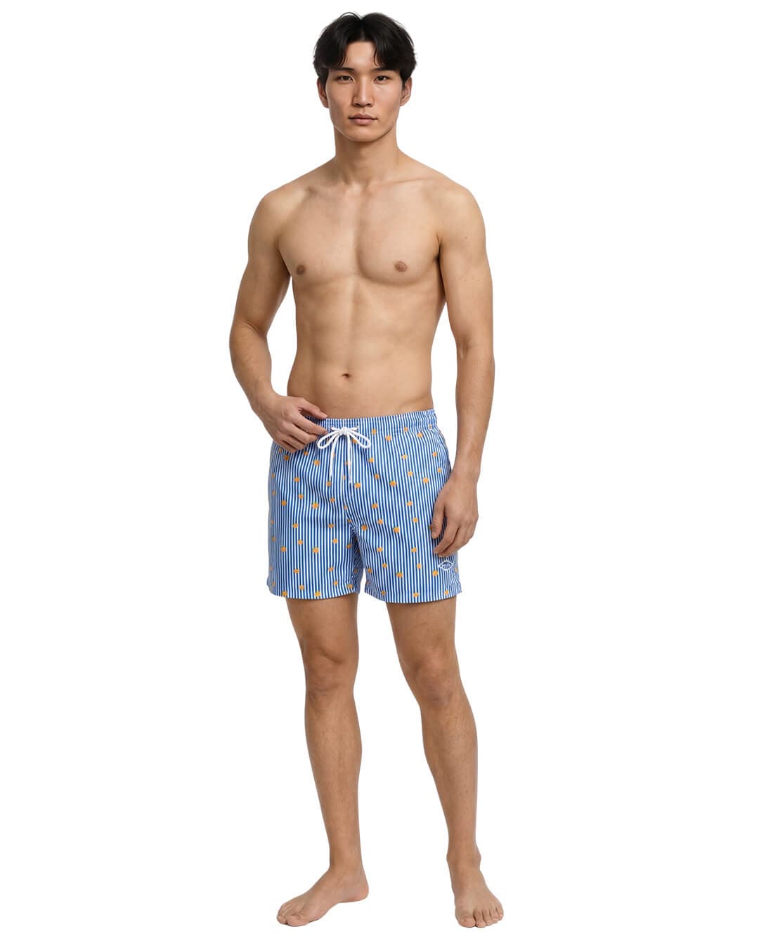 Jack & Jones Swimwear Jack & Jones Jpstmaui Breeze Mini Stripe Swim Srt Sn Delft