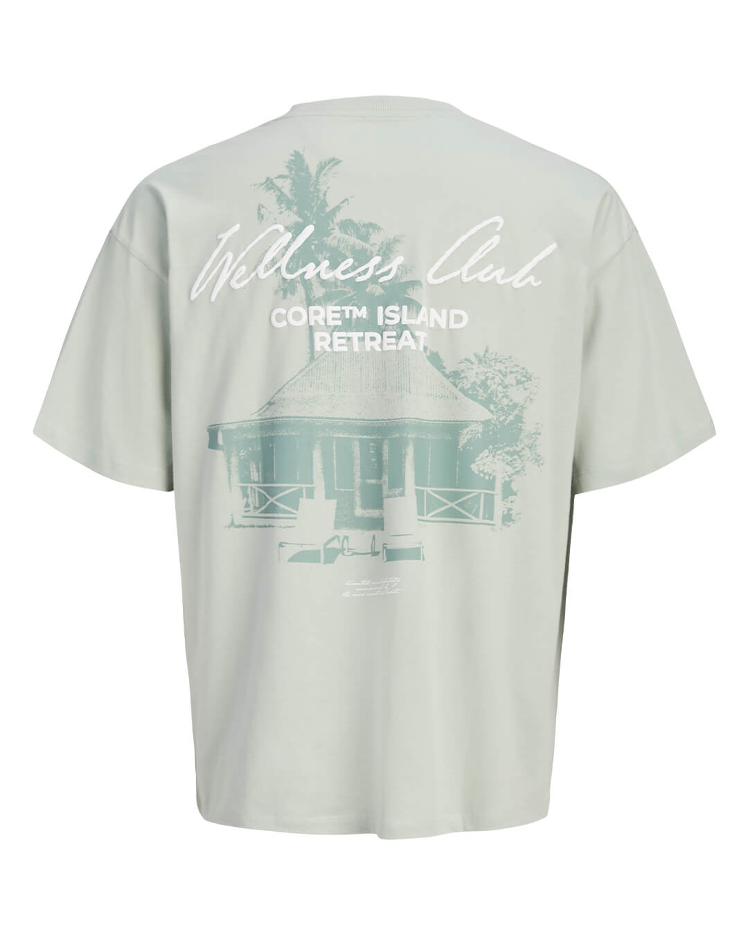 Jack & Jones T-Shirts Jack & Jones Jcoeterna Script Back Print Tee Ss Sa26 Aqua