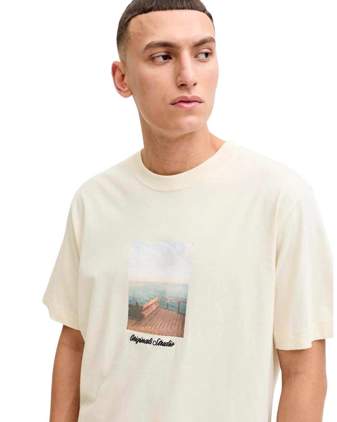Jack & Jones T-Shirts Jack & Jones Jornorrebro Photo Tee Ss Crew Neck Ln Antique