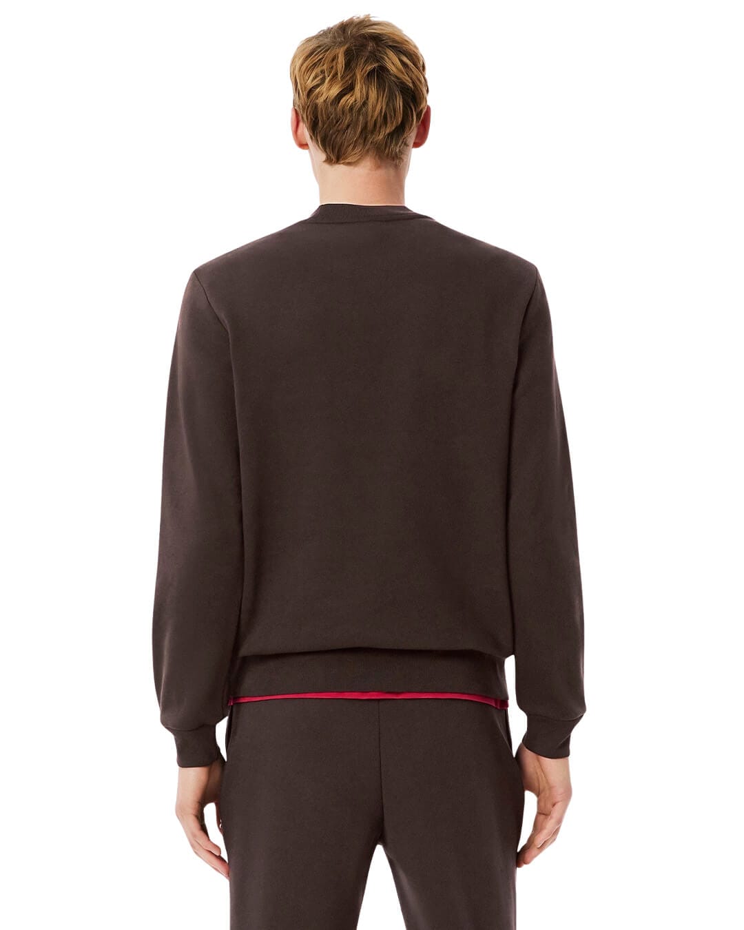 Lacoste Jumpers 2 Lacoste Brown Men'S Skb Port