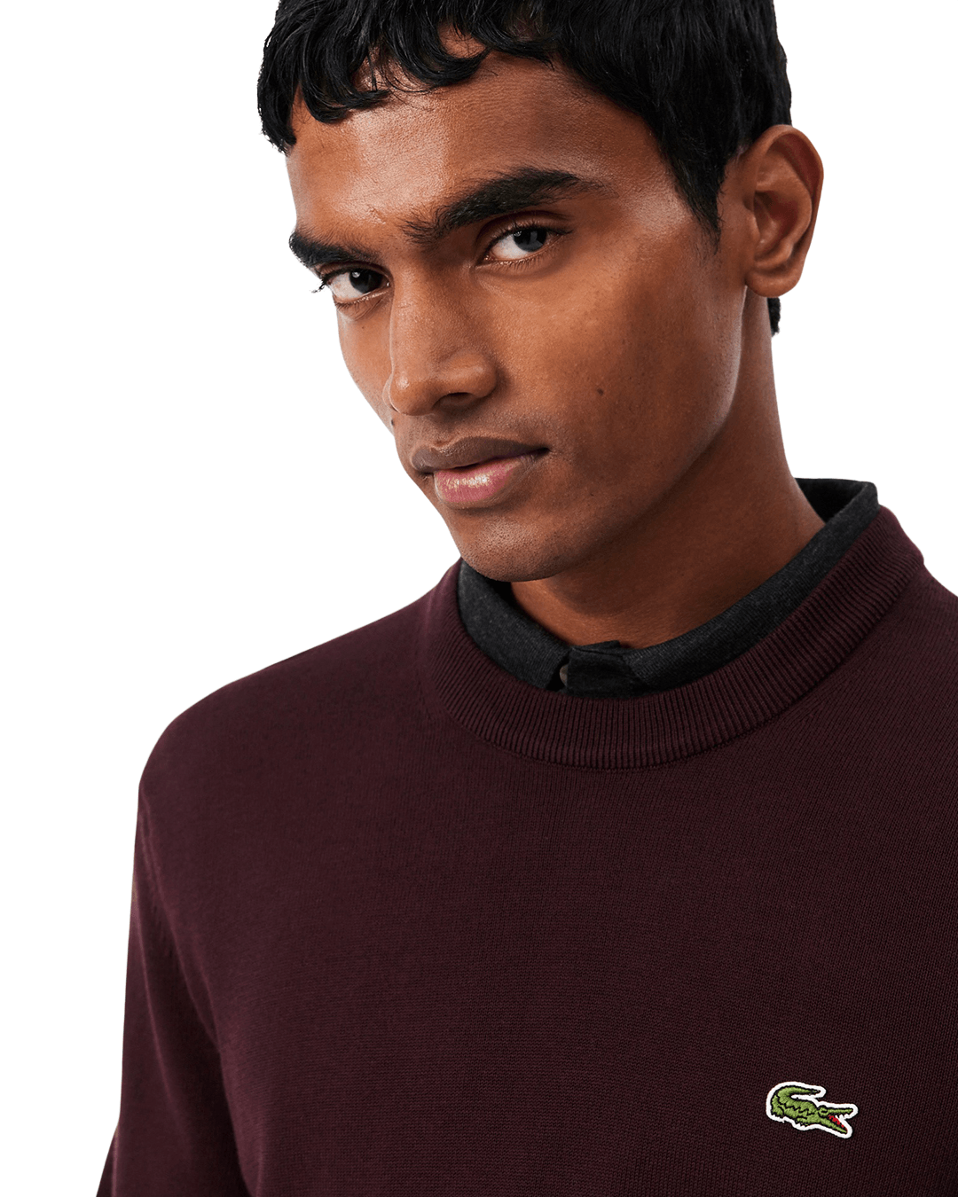 Lacoste Jumpers Lacoste Burgundy Cotton Sweater