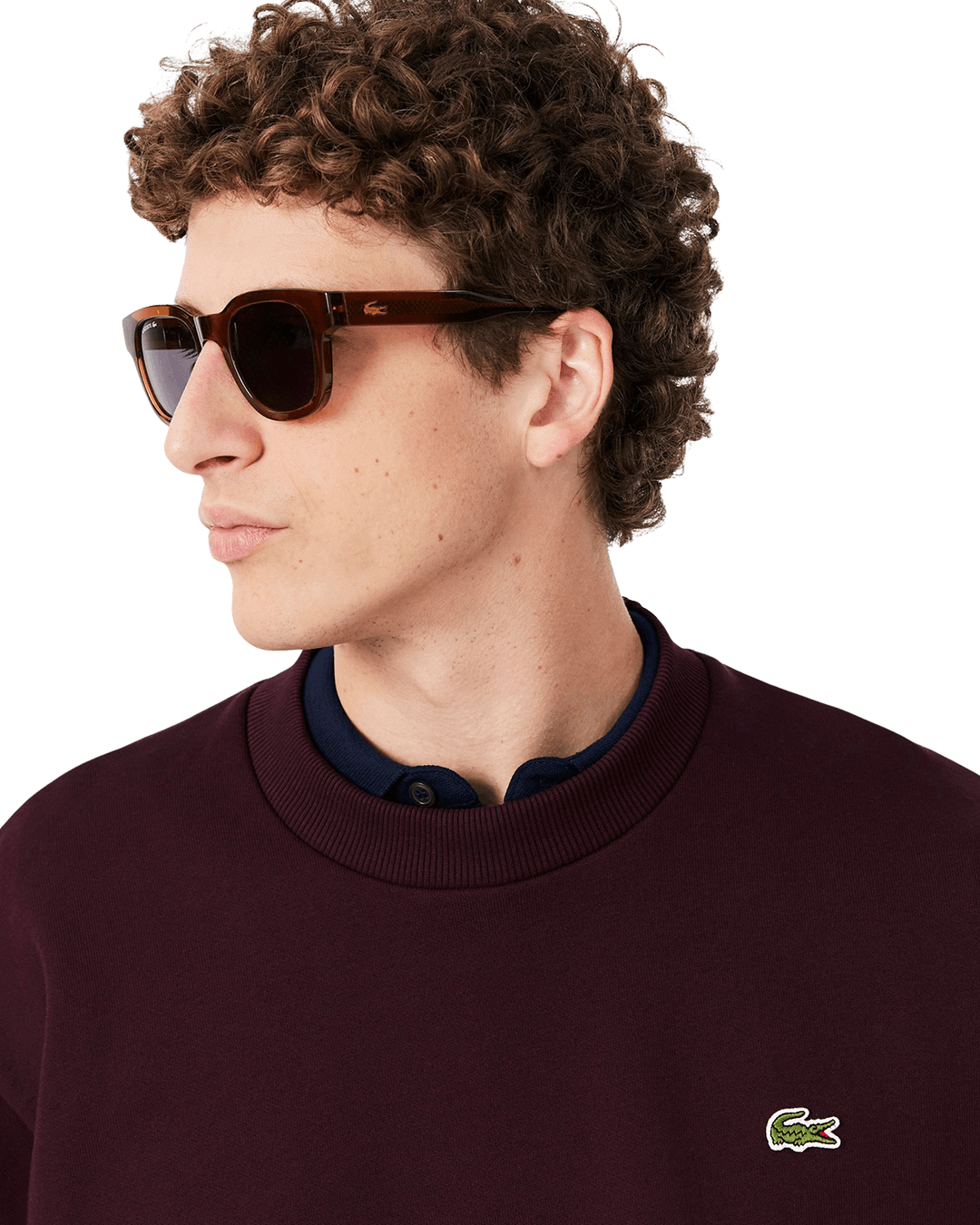 Lacoste Jumpers Lacoste Burgundy Sweatshirt