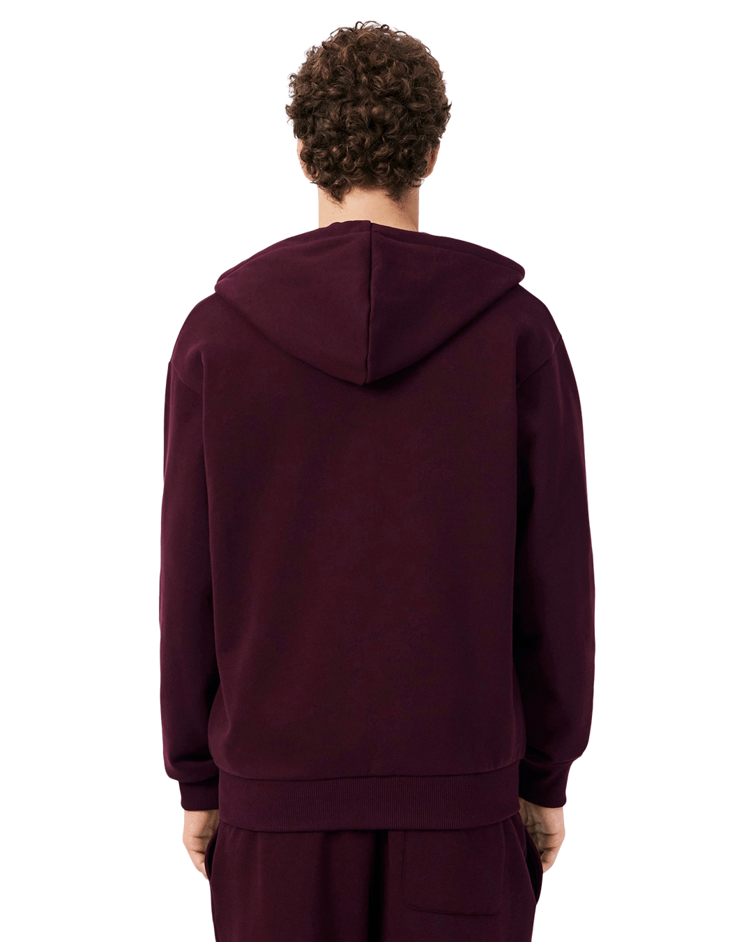 Lacoste Jumpers Lacoste Burgundy Sweatshirt