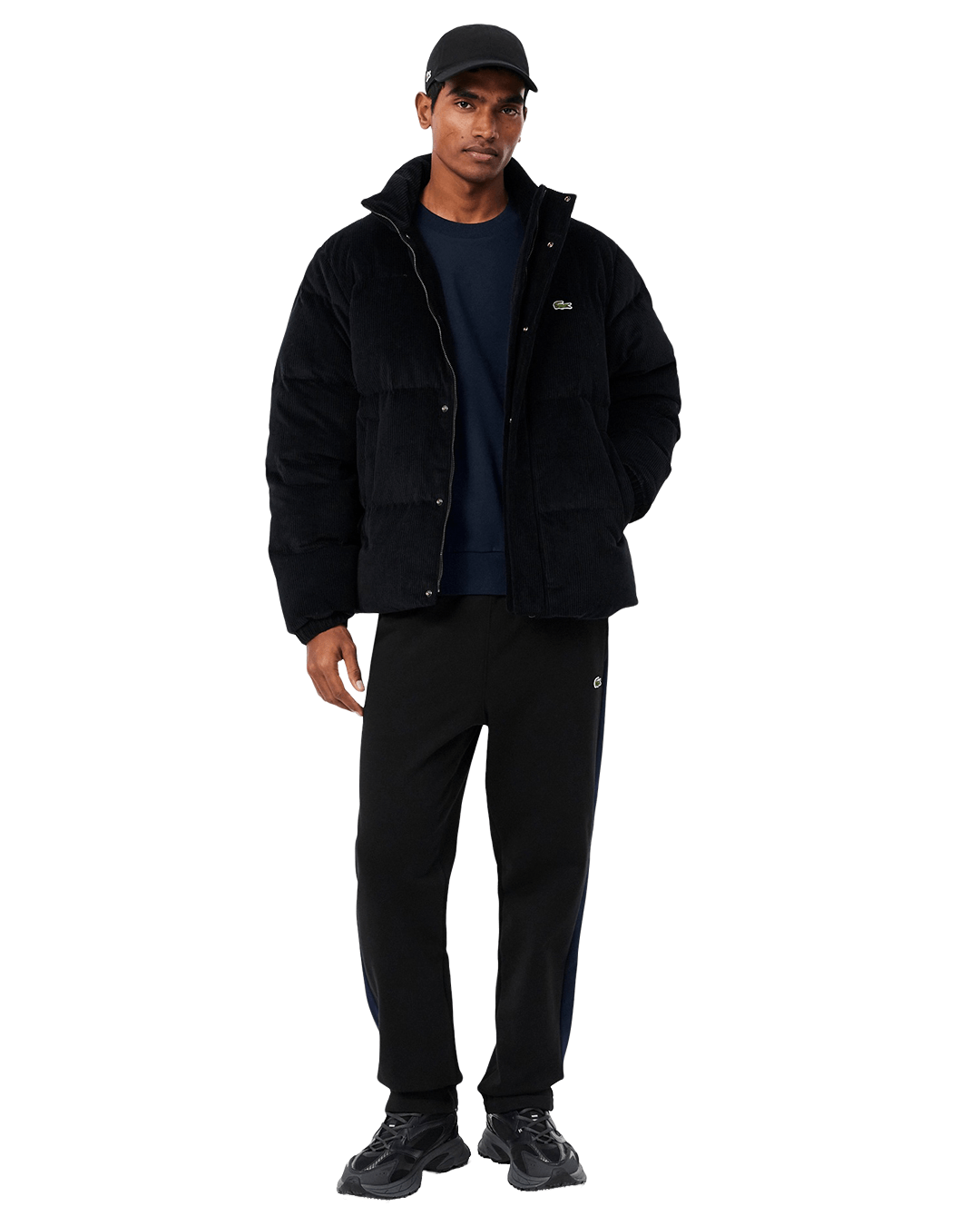 Lacoste Jumpers Lacoste Navy Sweatshirt