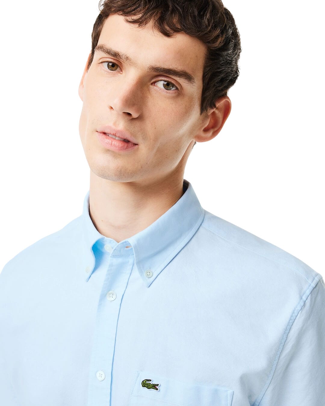 Lacoste Shirts Lacoste Regular Fit Short Sleeved Oxford Blue Shirt