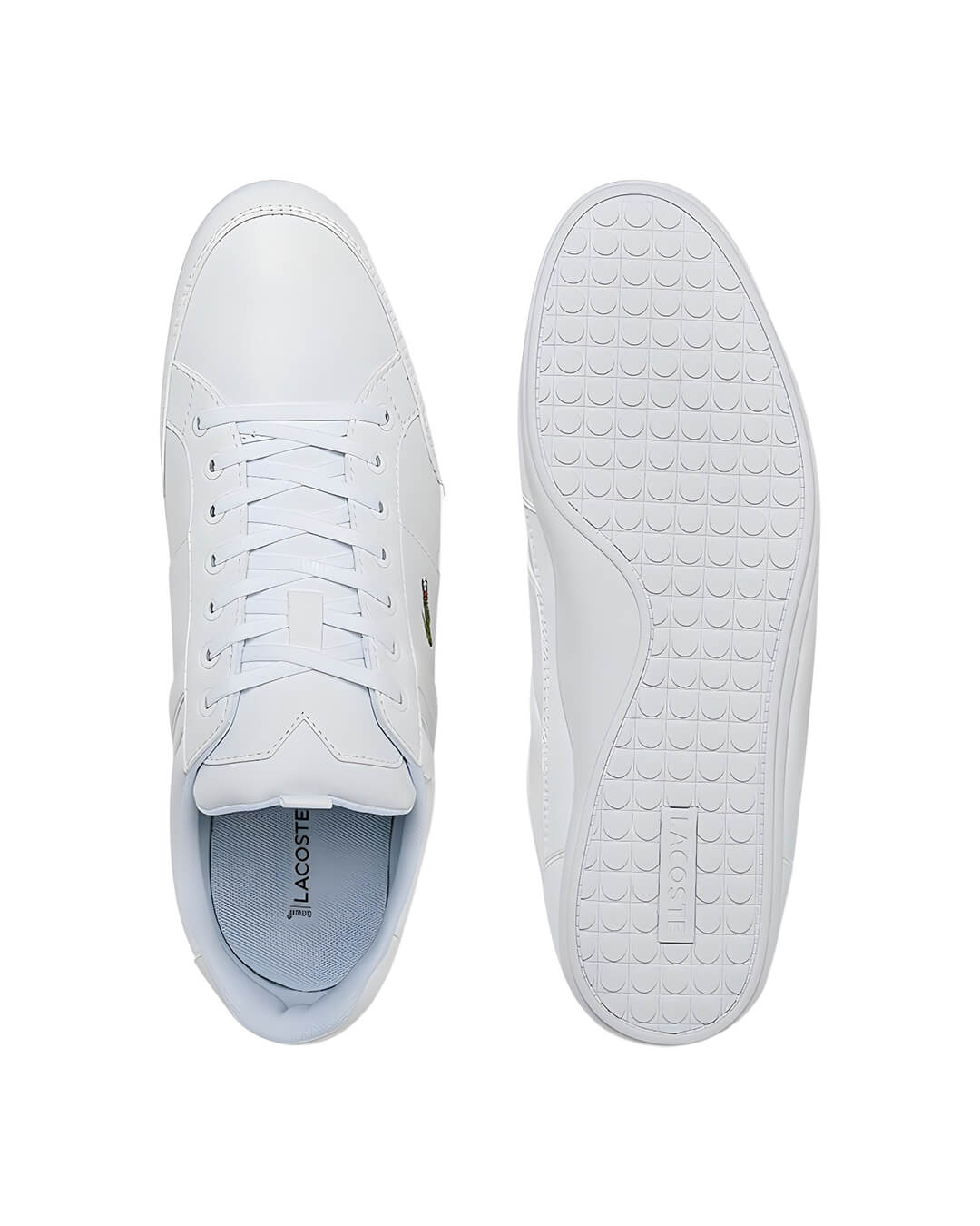 Lacoste Shoes Lacoste Chaymon White Sneakers