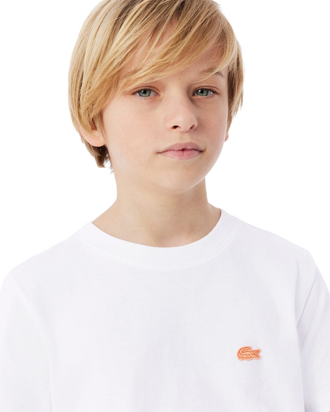 Lacoste T-Shirts Lacoste Boy'S Cotton Watercolor Crocodile T-Shirt White T-Shirt