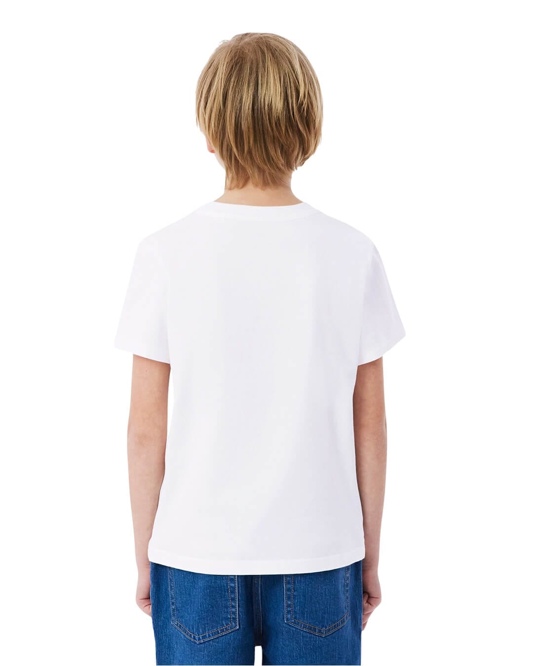 Lacoste T-Shirts Lacoste Boy'S Cotton Watercolor Crocodile T-Shirt White T-Shirt