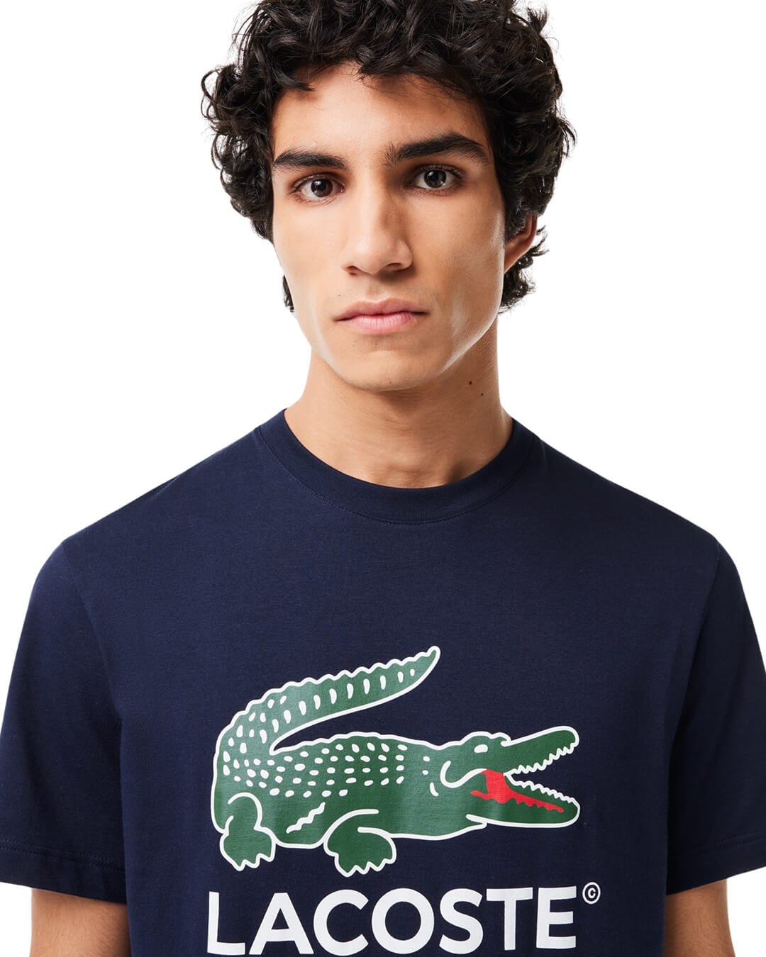 Lacoste T-Shirts Lacoste Navy Cotton Jersey Signature Print T-shirt