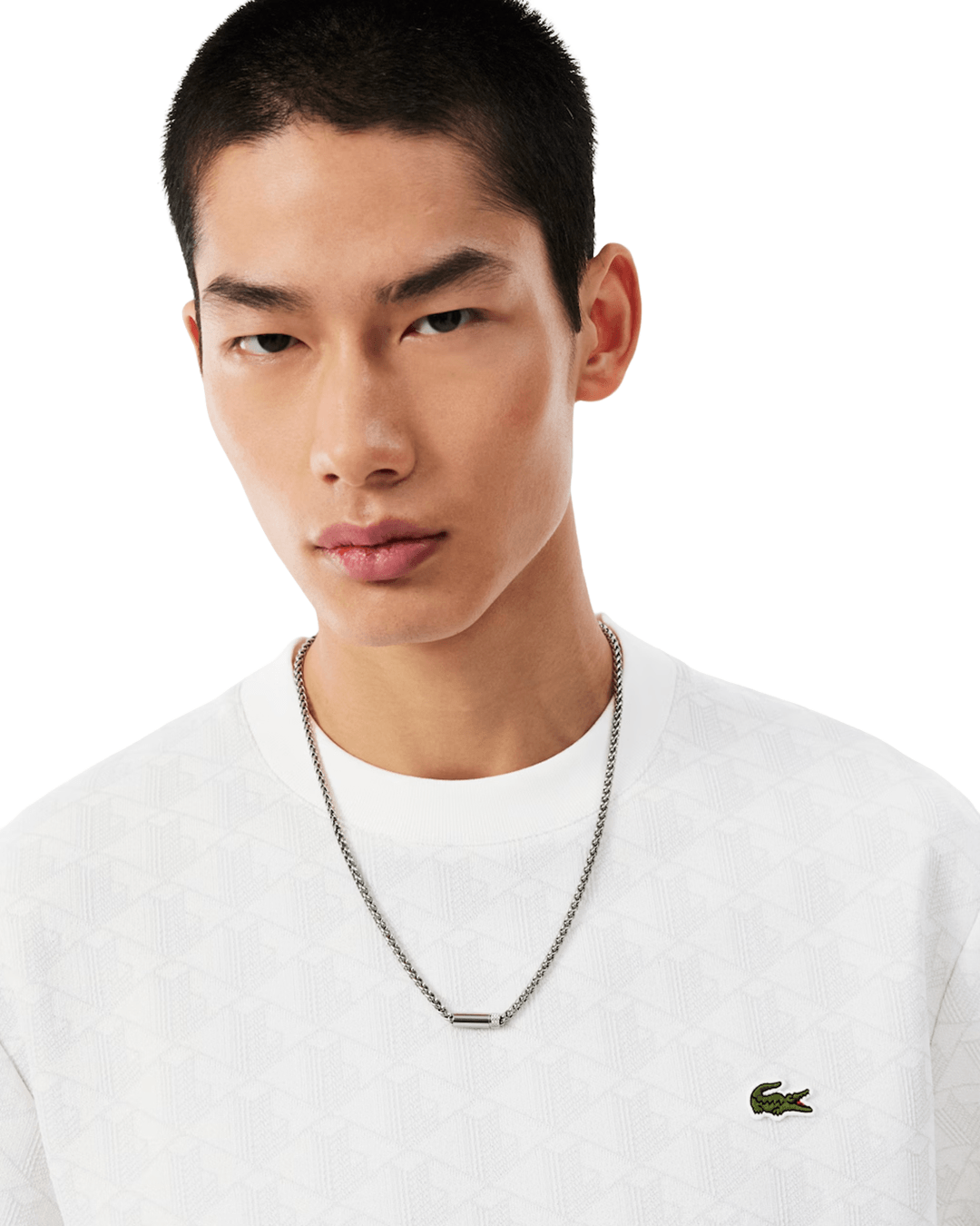 Lacoste T-Shirts Lacoste Sky Blue and Off-White Crew Neck T-Shirt