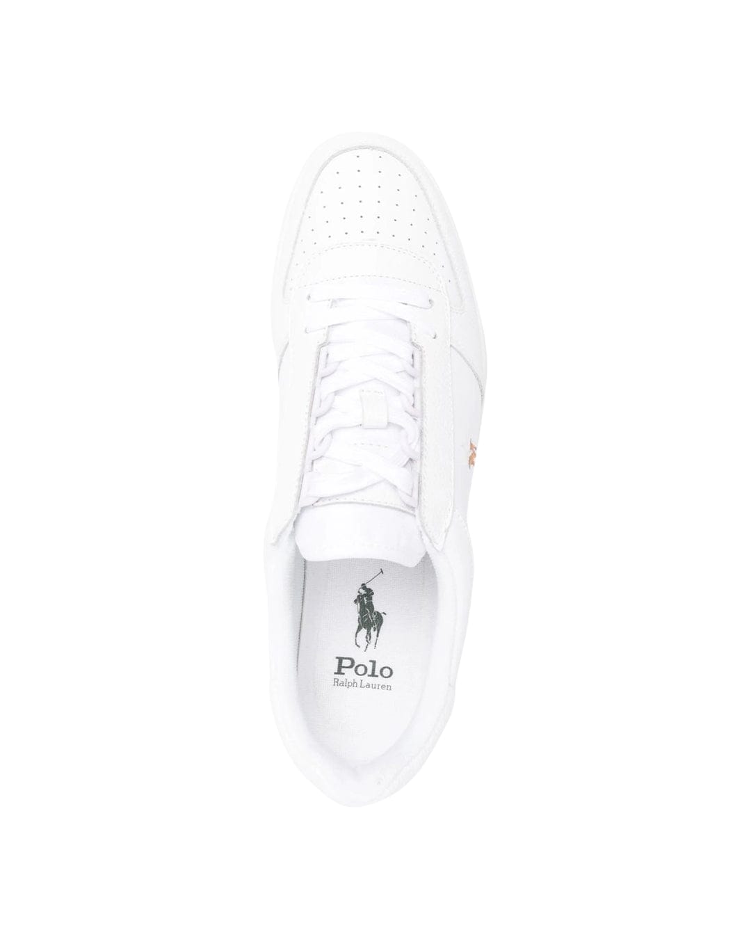 Polo Ralph Lauren Shoes Polo Ralph Lauren White Court Low Top Lace Sneakers