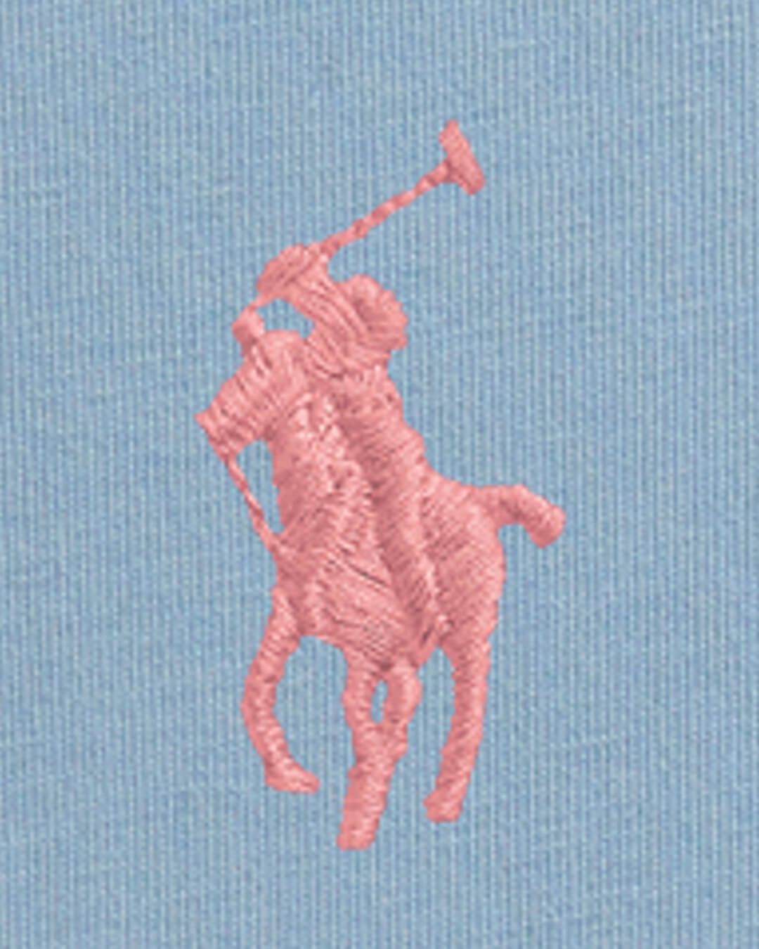 Polo Ralph Lauren T-Shirts Polo Ralph Lauren Blue Cotton Jersey T-Shirt