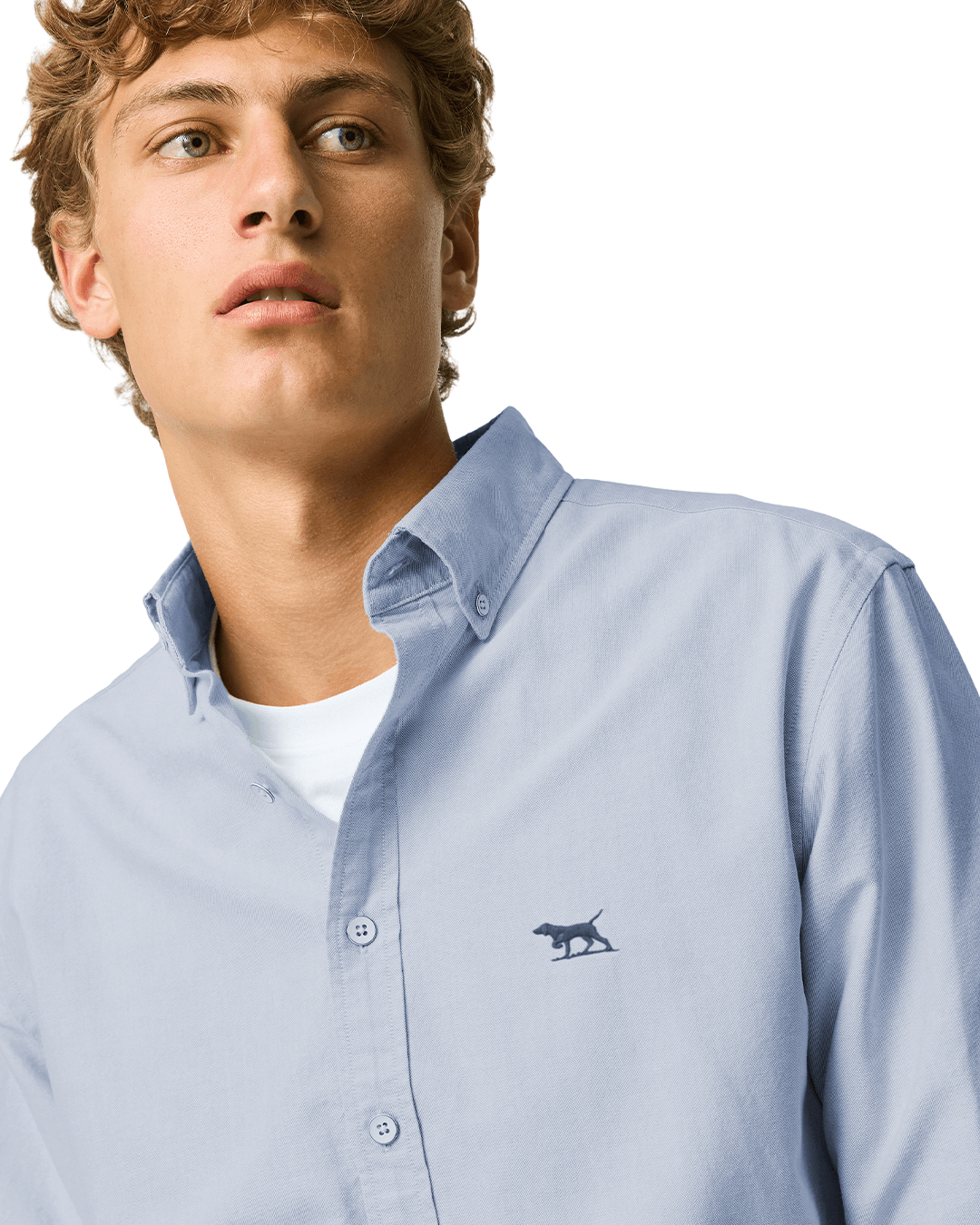 Rodd & Gunn Shirts Rodd & Gunn Arctic Blue Oxford Shirt