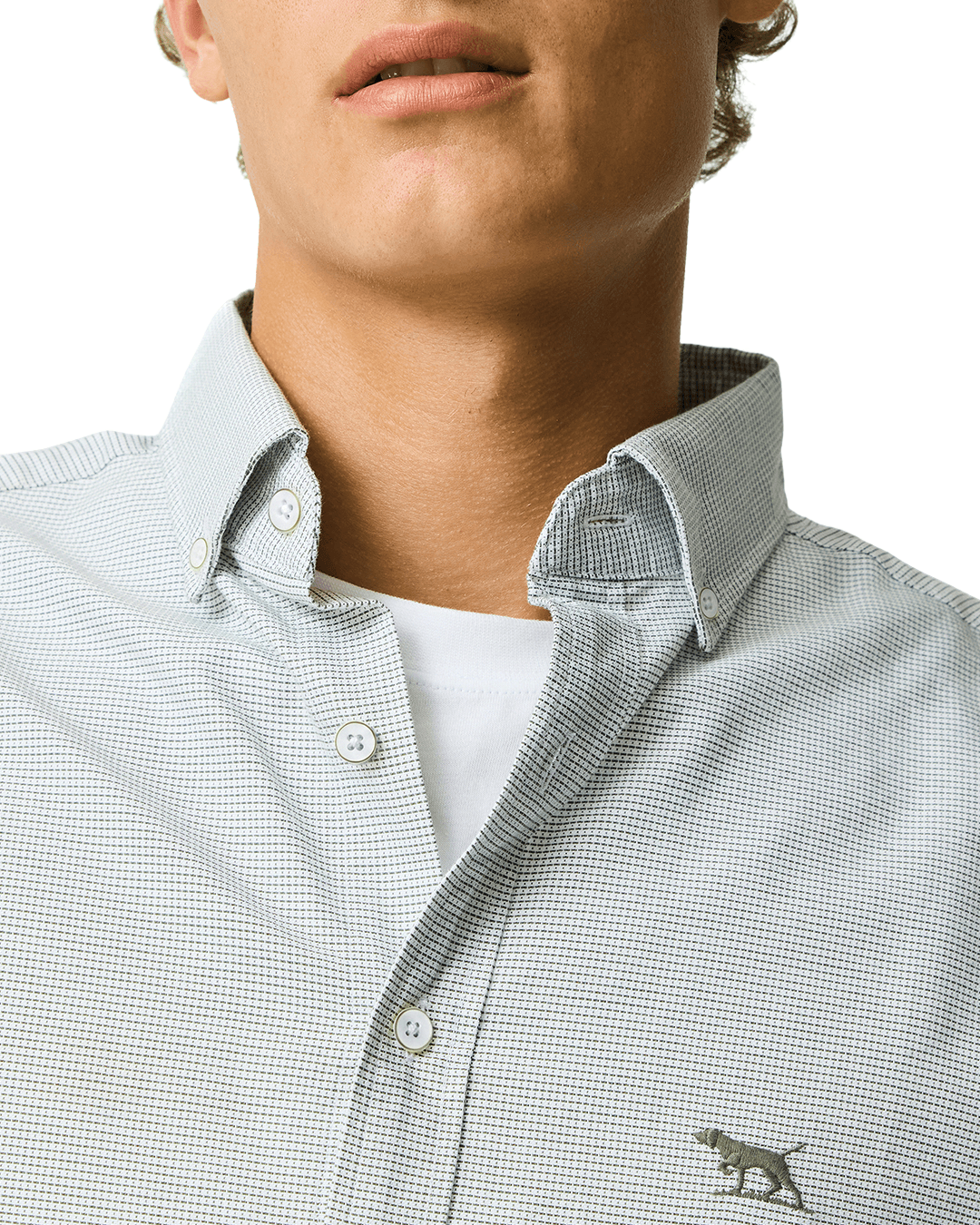 Rodd & Gunn Shirts Rodd & Gunn Fern Green Gunn Oxford 2 Shirt