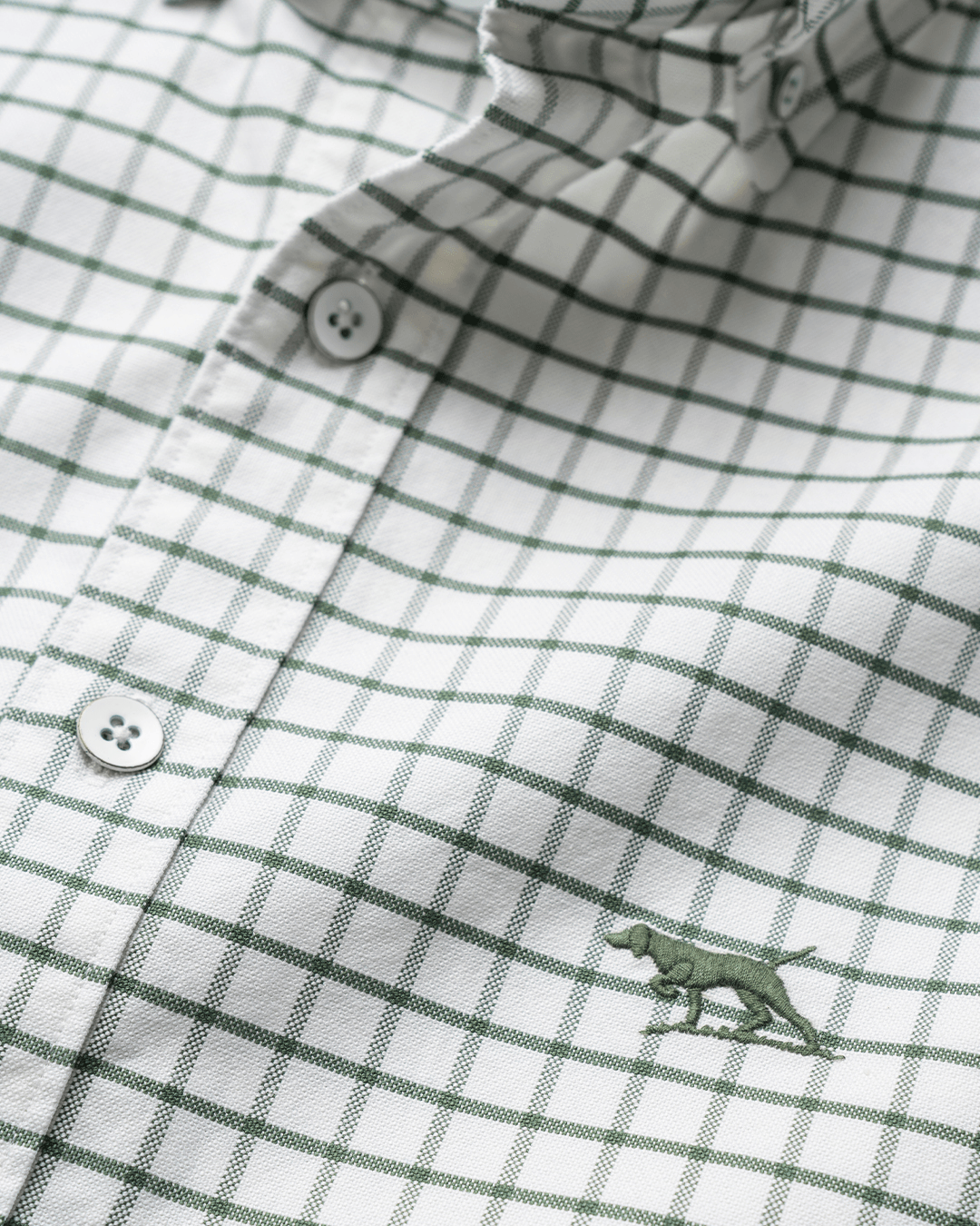 Rodd & Gunn Shirts Rodd & Gunn Olive Gunn Check Oxford 3 Shirt