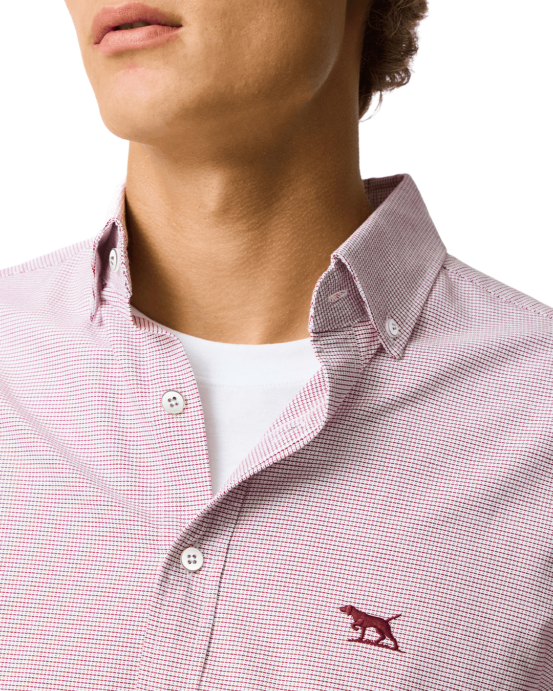Rodd & Gunn Shirts Rodd & Gunn Poppy Pink Gunn Oxford 2 Shirt