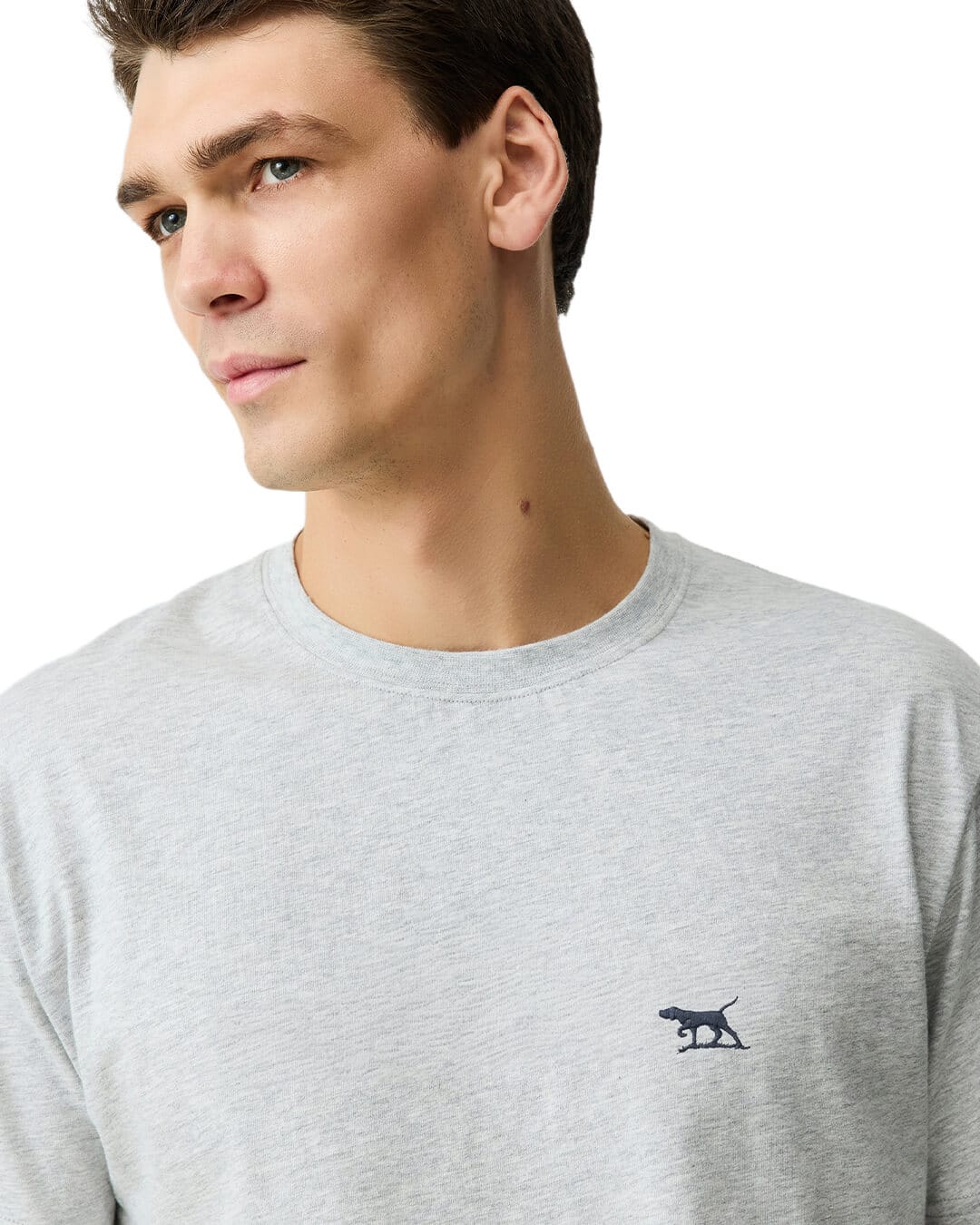 RODD & GUNN T-Shirts Rodd & Gunn The Gunn Tee 2.0 Pebble