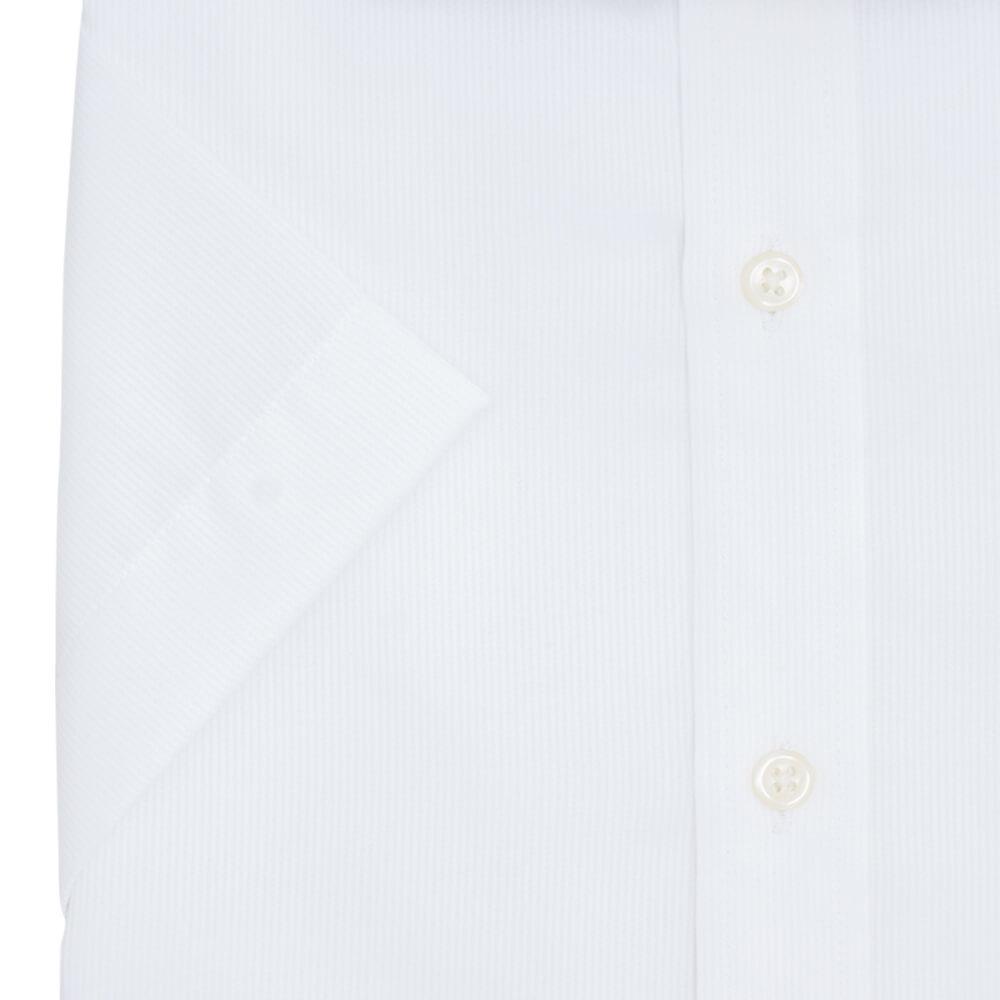 Gagliardi Shirts White Stripe Slim Fit Short Sleeve Cutaway Collar Shirt