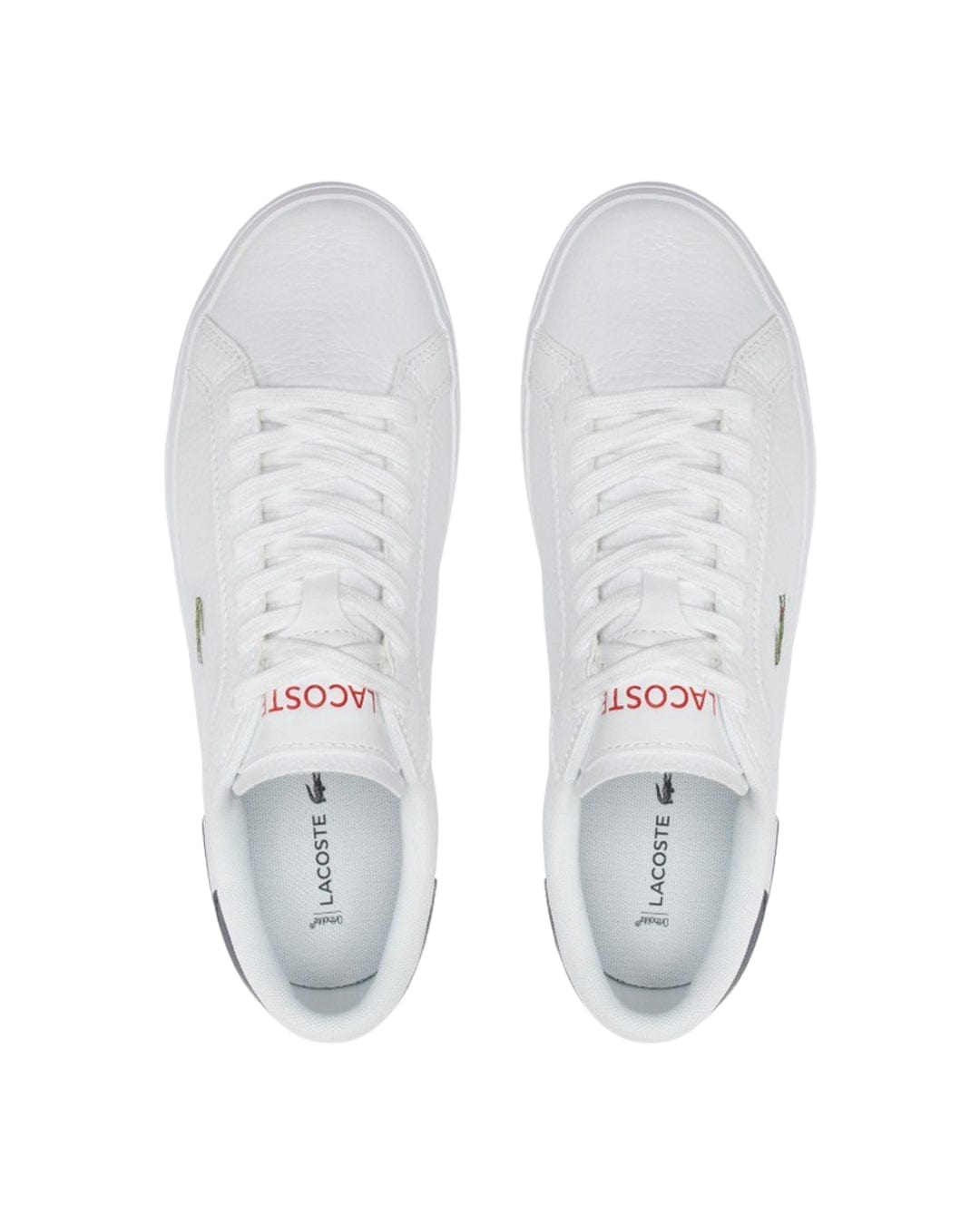 Lacoste Shoes Lacoste Tricolour Powercourt Leather Sneakers