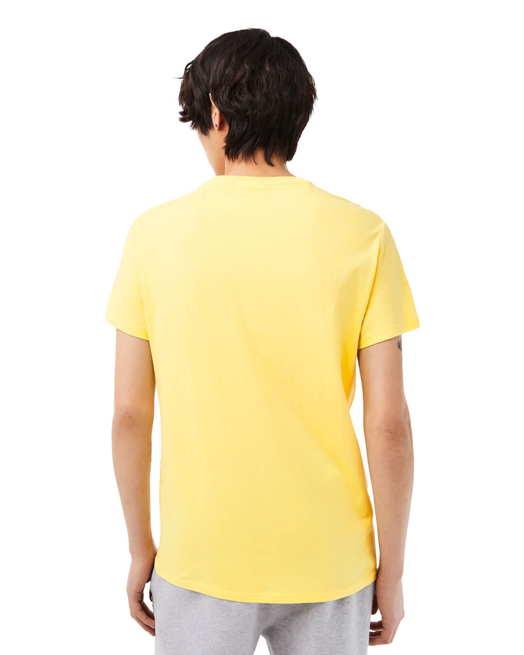 Lacoste T-Shirts Lacoste Crew Neck Pima Cotton Yellow Jersey T-shirt